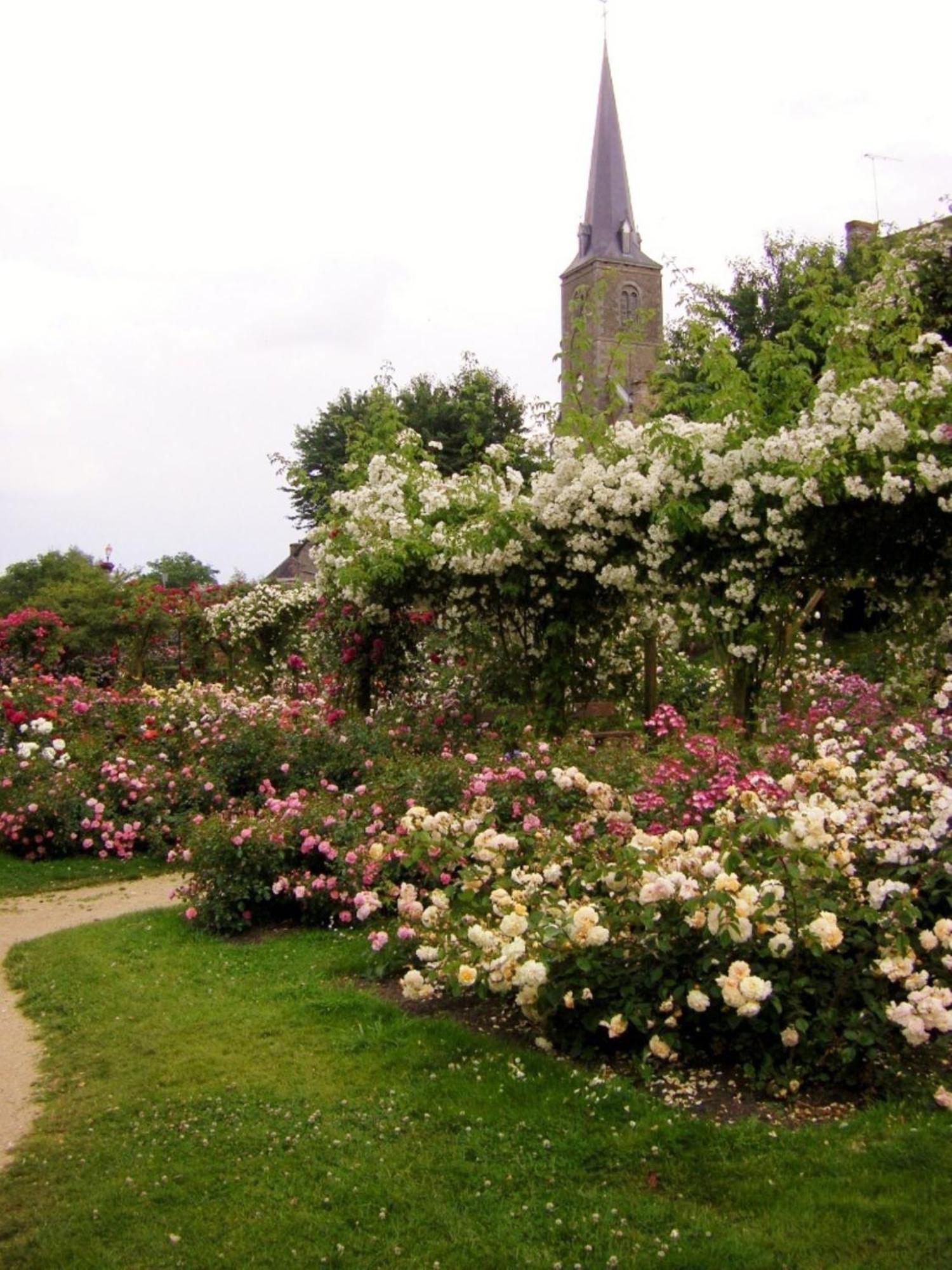 La Cloue Panzió Sainte-Marie-du-Bois  Kültér fotó