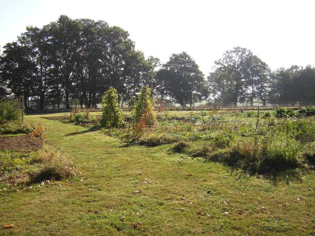 La Cloue Panzió Sainte-Marie-du-Bois  Kültér fotó